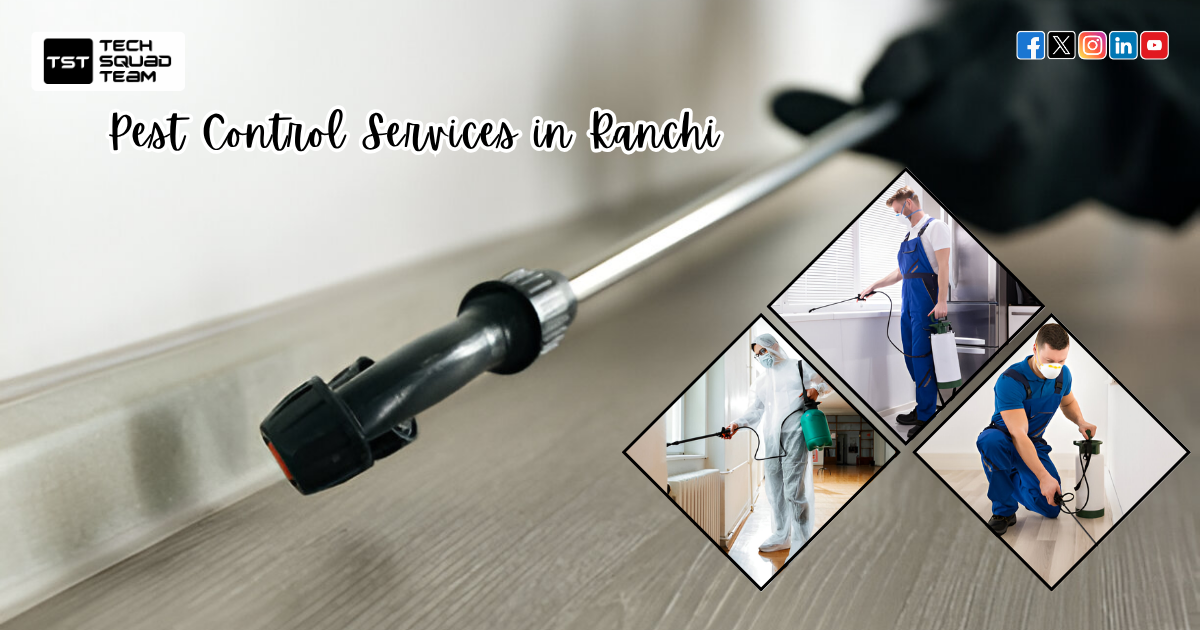 Say Goodbye to Infestations with the Best Pest Control Services in Ranchi