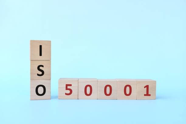 ISO 50001 Lead Auditor Course: Powering Up Energy Efficiency for Utilities