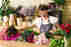Affordable Online Flowers in India Send Romantic Bouquets at Just a Click