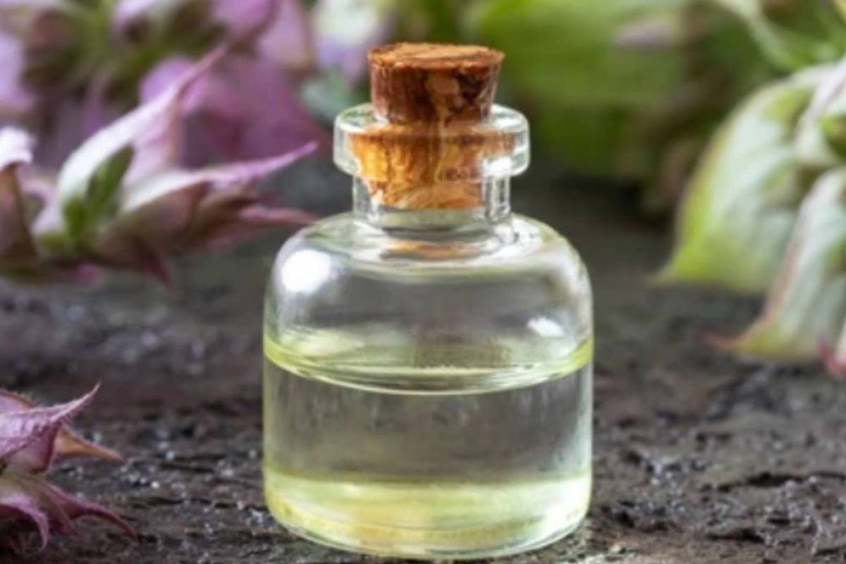 Hydrosols Bulk Suppliers | Wholesale Floral Waters, Skincare