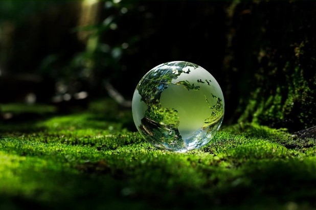 Environmental Consultant Guide – Responsibilities & Benefits