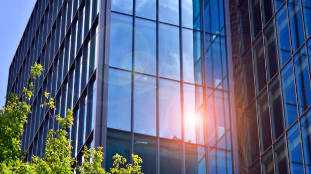 Legal Window Tint in Arizona – Know the Rules & Stay Cool