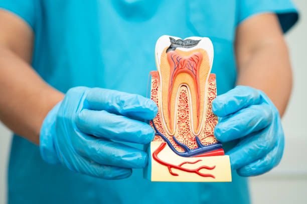 Esthetische Tandheelkunde en Invisalign in Breda – Voor een Stralende Lach