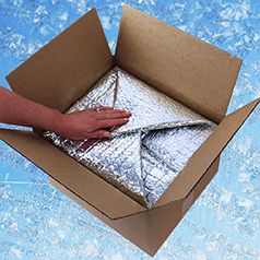 Frozen Food Boxes for Freshness and Branding