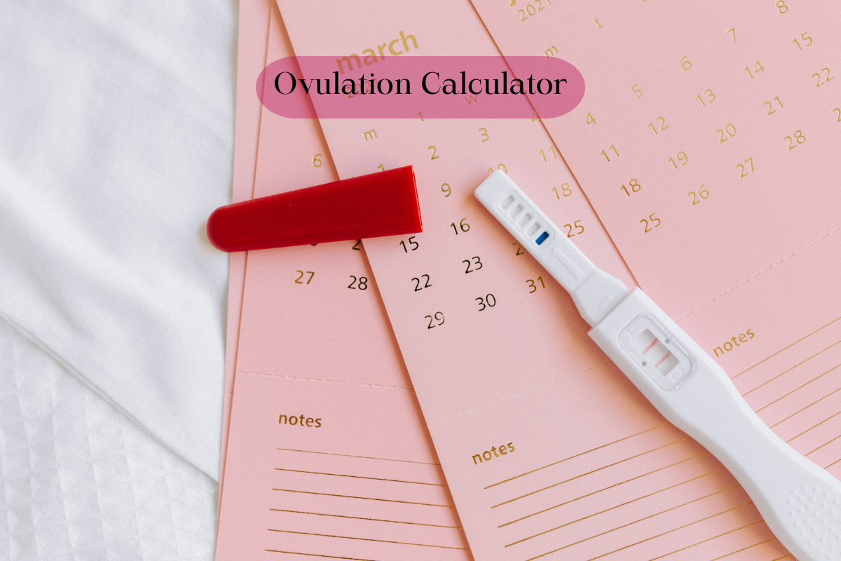 What is the Best Way to Understand Your Fertile Window?