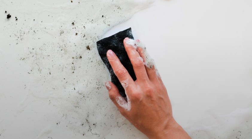 Garage Mold Removal Tips That Prevent Future Growth